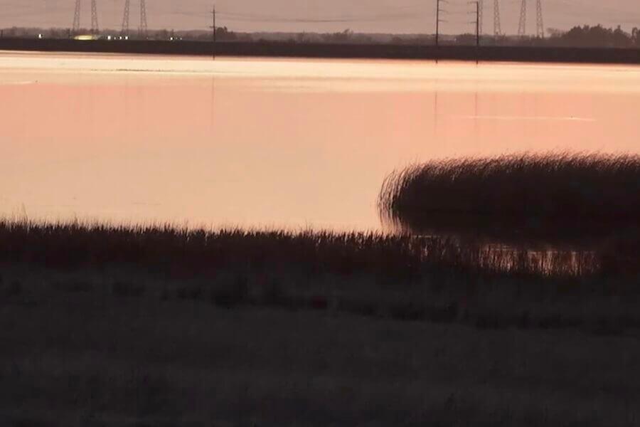 experience_image_0